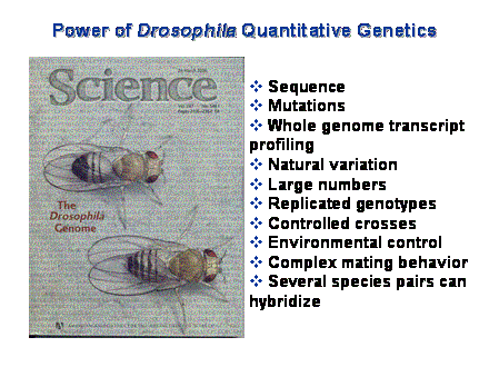 Slide #5. Power of Drosophila Quantitative Genetics