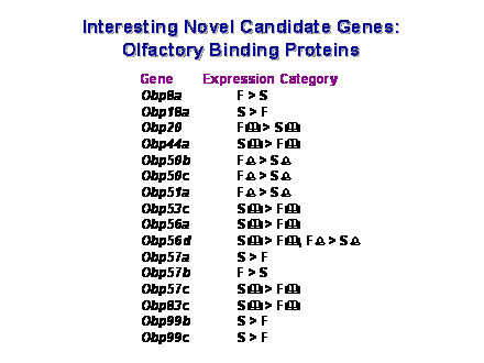 Slide #53. Interesting Novel Candidate Genes: