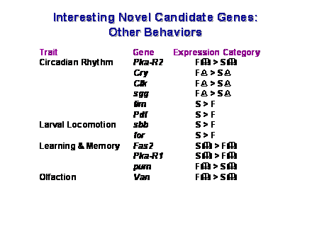 Slide #54. Interesting Novel Candidate Genes: