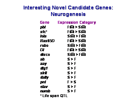 Slide #55. Interesting Novel Candidate Genes: