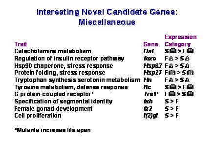 Slide #56. Interesting Novel Candidate Genes:
