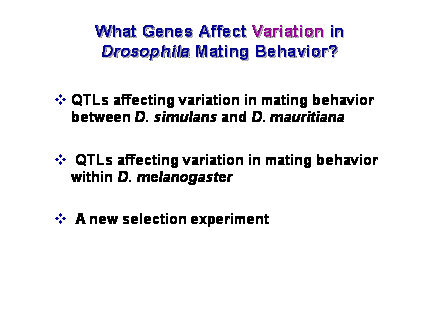 Slide #9. What Genes Affect Variation in