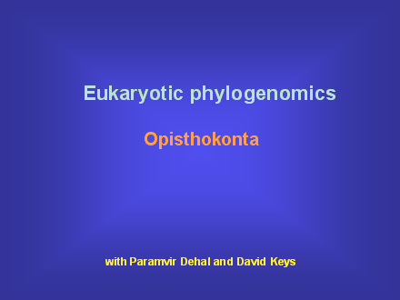 Slide #20. Eukaryotic phylogenomics