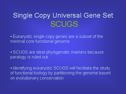 Slide #22. Single Copy Universal Gene Set SCUGS