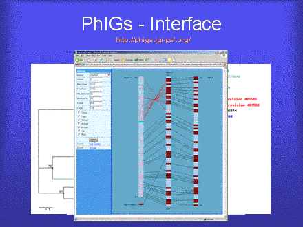 Slide #29. PhIGs - Interface