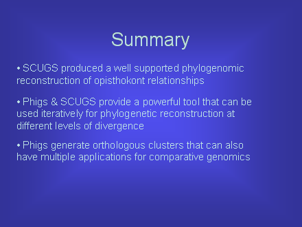 Slide #30. Summary