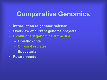 Slide #31. Comparative Genomics
