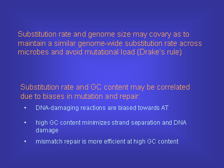 Slide #43. Substitution rate and genome size may covary as to maintain a similar genome-wide substitution rate across microbes and avoid mutational load (Drakes rule)