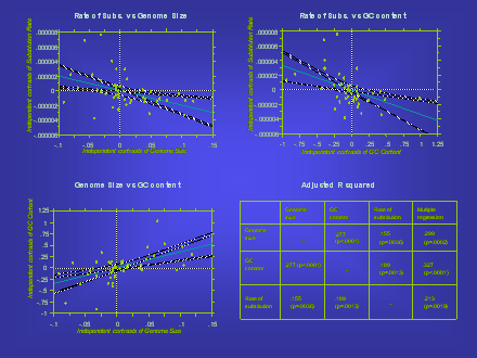 Slide #45. Slide 45