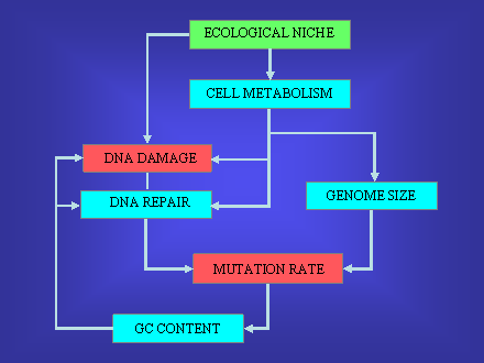 Slide #46. Slide 46