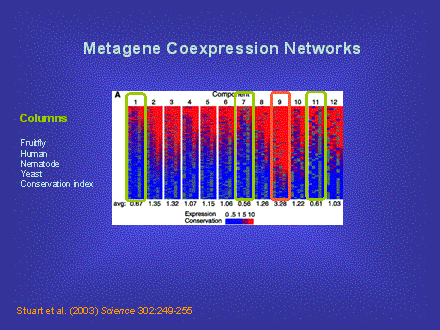 Slide #54. Stuart et al. (2003) Science 302:249-255