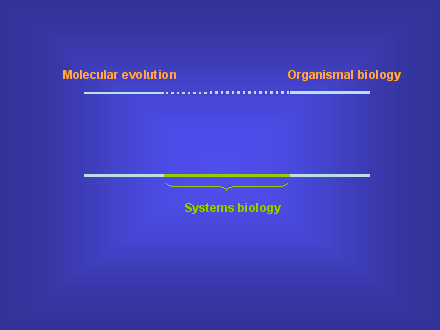 Slide #61. Molecular evolution