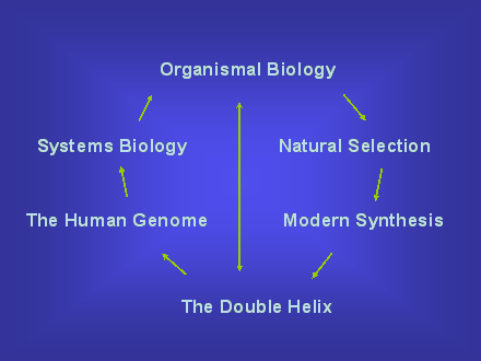 Slide #64. Organismal Biology