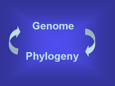 Slide #8. Genome