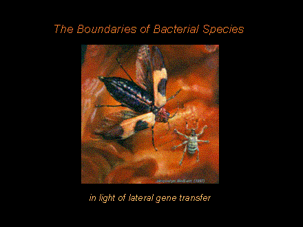Slide #1. The Boundaries of Bacterial Species