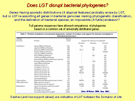 Slide #13. Does LGT disrupt bacterial phylogenies? 