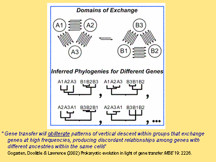 Slide #15. "Gene transfer will obliterate patterns of vertical descent within groups that exchange genes at high frequencies, producing discordant relationships among genes with different ancestries within the same cells"  <BR>	Gogarten, Doolittle & Lawrence (2002) Prokaryotic evolution in light of gene transfer MBE 19: 2226. 