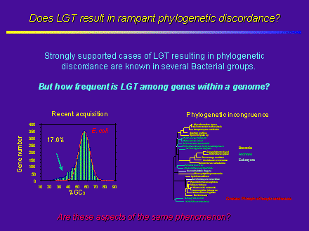 Slide #17. Does LGT result in rampant phylogenetic discordance?