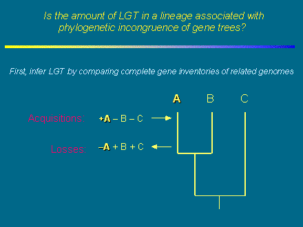 Slide #18. A