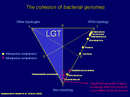Slide #22. Interspecies comparisons
