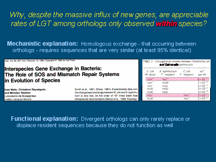 Slide #25. Why, despite the massive influx of new genes, are appreciable rates of LGT among orthologs only observed within species?