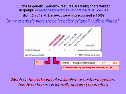 Slide #27. But these genetic / genomic features are being characterized in groups already designated as distinct bacterial species (both E. coli and S. enterica were first recognized in 1885)  