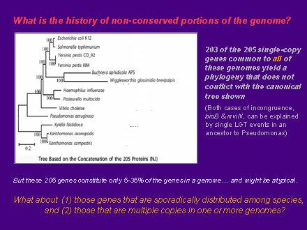 Slide #28. What is the history of non-conserved portions of the genome?