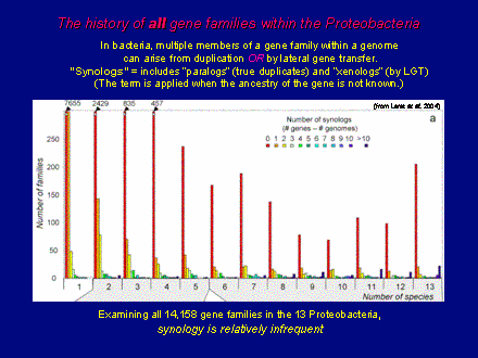 Slide #29. The history of all gene families within the Proteobacteria