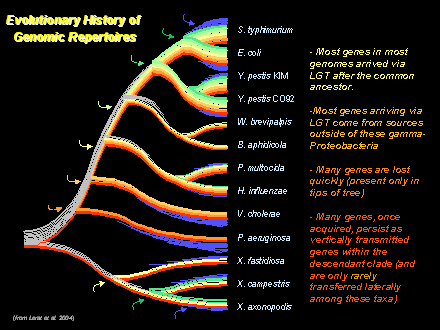 Slide #31. Figure 3