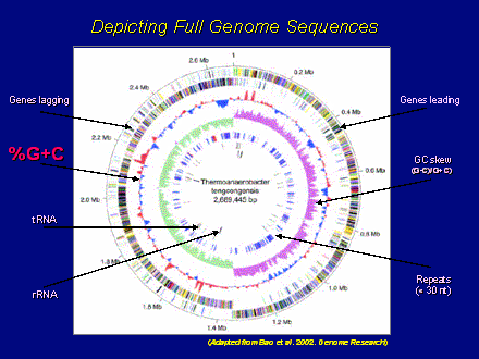 Slide #4. Depicting Full Genome Sequences