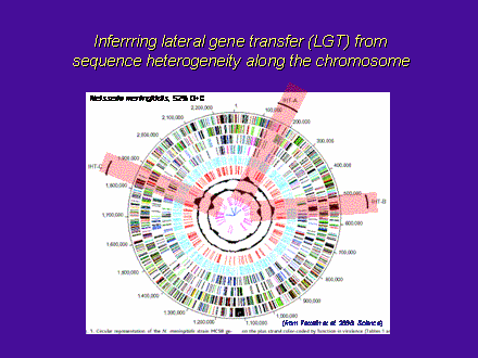 Slide #5. Inferrring lateral gene transfer (LGT) from <BR>sequence heterogeneity along the chromosome