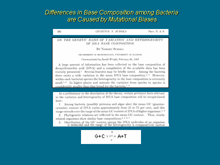 Slide #6. Differences in Base Composition among Bacteria <BR>are Caused by Mutational Biases