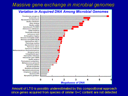 Slide #9. Massive gene exchange in microbial genomes 