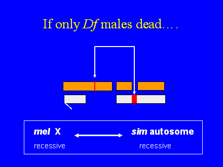 Slide #11. If only Df males dead.
