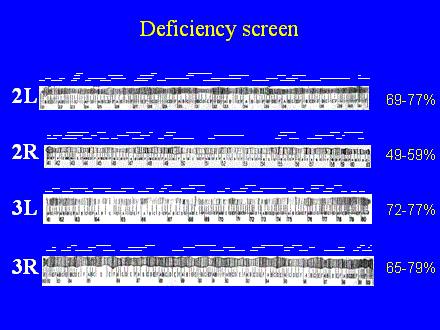 Slide #12. Deficiency screen