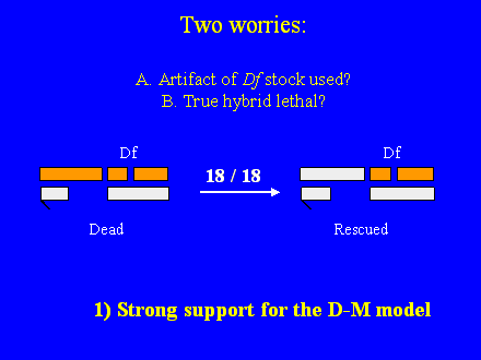 Slide #15. Two worries:A. Artifact of Df stock used?B. True hybrid lethal?