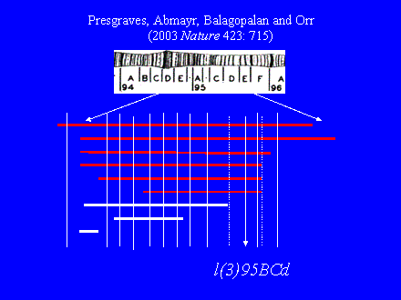 Slide #19.     	      Presgraves, Abmayr, Balagopalan and Orr <BR>			(2003 Nature 423: 715)