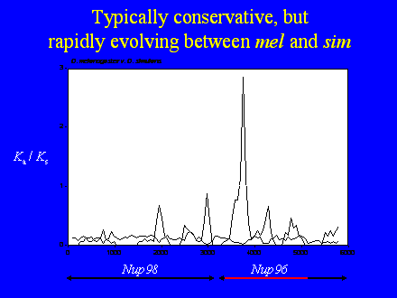 Slide #21. Typically conservative, but