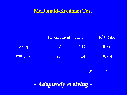 Slide #23. McDonald-Kreitman Test   