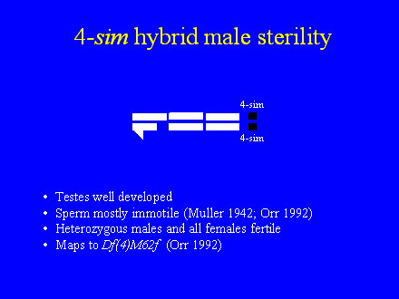 Slide #28. 4-sim hybrid male sterility