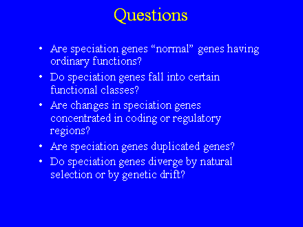 Slide #6. Questions