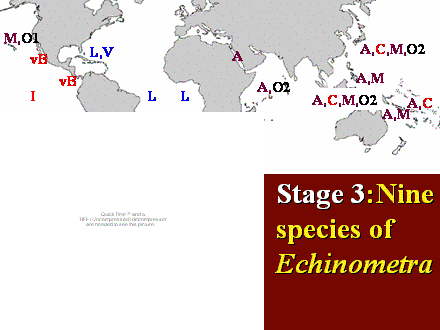 Slide #10. L,V