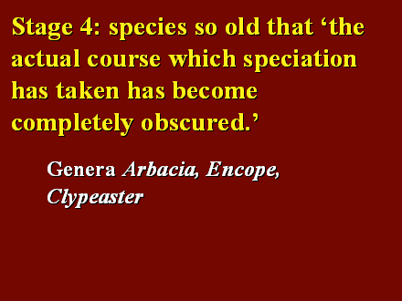 Slide #11. Stage 4: species so old that the actual course which speciation has taken has become completely obscured.