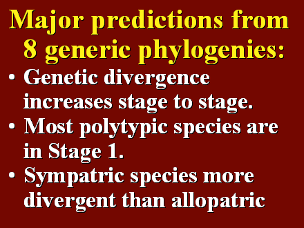 Slide #19. Major predictions from 8 generic phylogenies:<BR>Genetic divergence increases stage to stage.<BR>Most polytypic species are in Stage 1.<BR>Sympatric species more divergent than allopatric