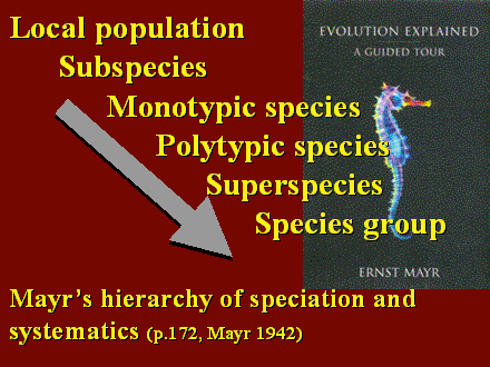 Slide #2. Local population<BR>	Subspecies<BR>		Monotypic species<BR>			Polytypic species<BR>				Superspecies<BR>					Species group<BR><BR>Mayrs hierarchy of speciation and systematics (p.172, Mayr 1942)