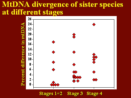 Slide #21.                  Stages 1+2    Stage 3   Stage 4         <BR>