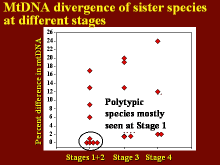 Slide #23.                  Stages 1+2    Stage 3   Stage 4         <BR>