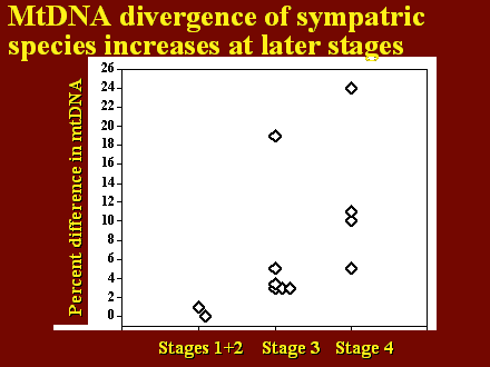 Slide #28.                      Stages 1+2    Stage 3   Stage 4         <BR>
