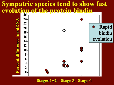Slide #29.                      Stages 1+2    Stage 3   Stage 4         <BR>