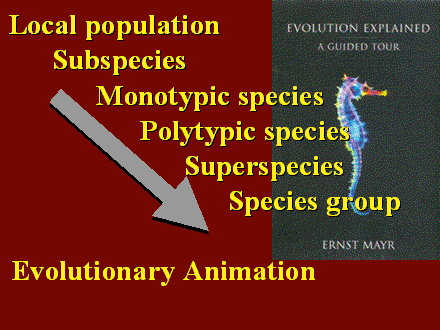 Slide #3. Local population<BR>	Subspecies<BR>		Monotypic species<BR>			Polytypic species<BR>				Superspecies<BR>					Species group<BR>